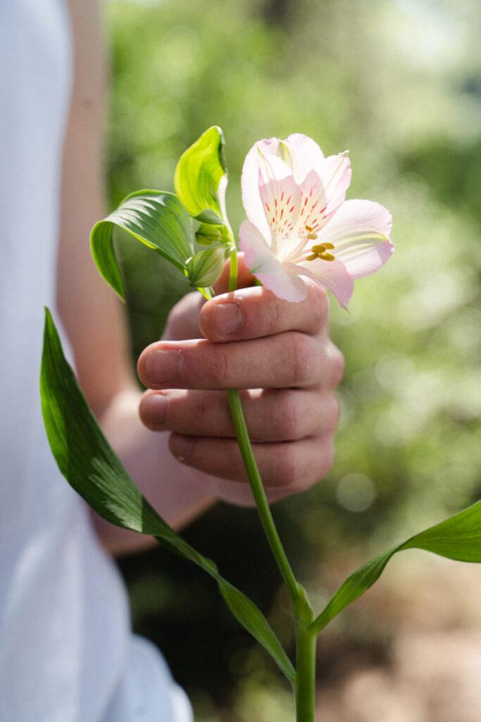 esencia flor blanca